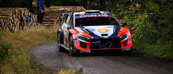 Central European Rally