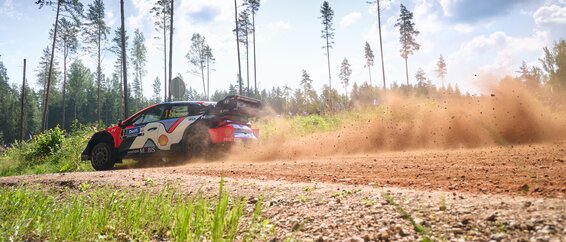 Rally Estonia