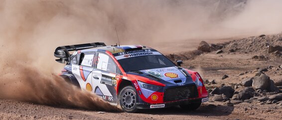 Rally Saudi Arabia