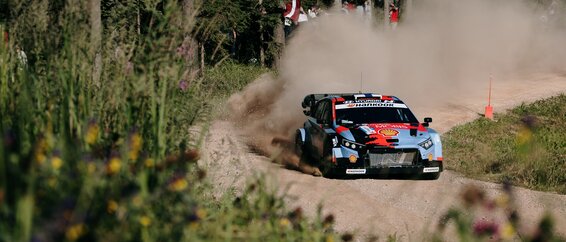 Rally Estonia