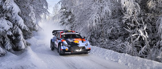 Rally Sweden